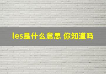 les是什么意思 你知道吗